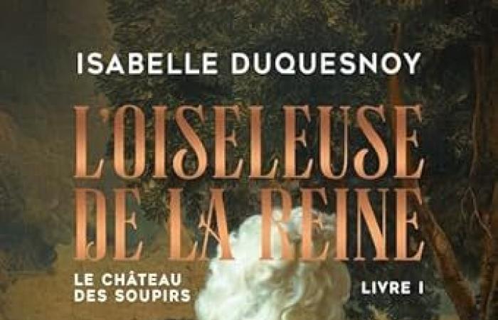 Le Château des Soupirs, tome 1 Isabelle Duquesnoy