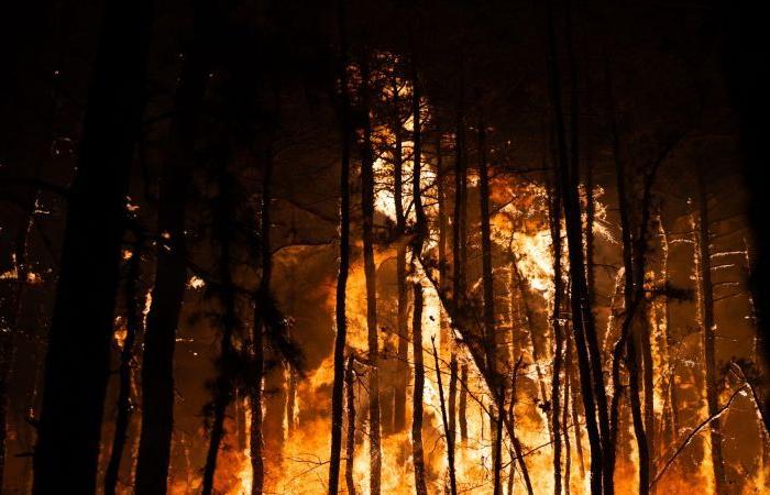 Un homme a été accusé d’incendie criminel en lien avec un incendie de forêt