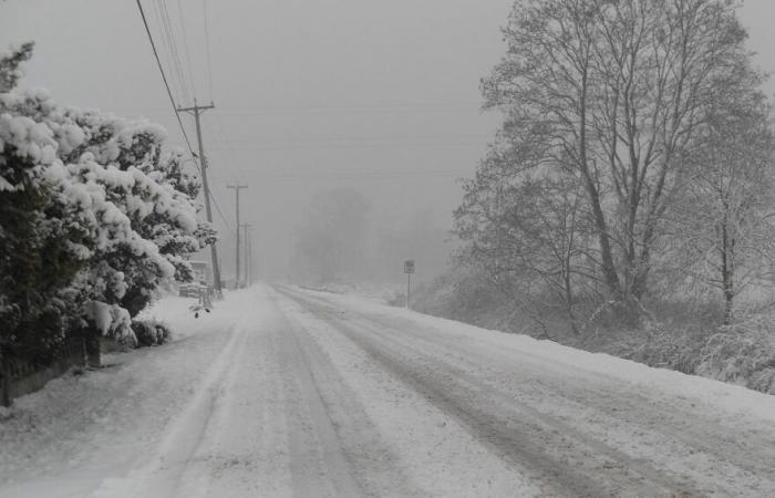 la neige arrive ce mardi sur les collines, en Lozère et dans les Pyrénées !