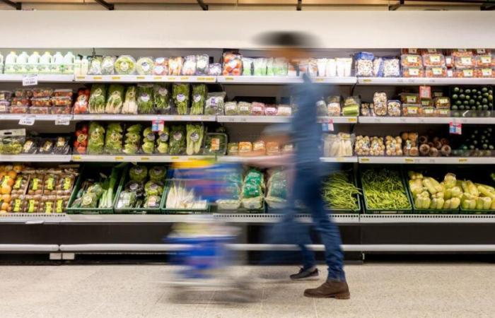 voici les magasins ouverts à Mons-Borinage ce jour férié