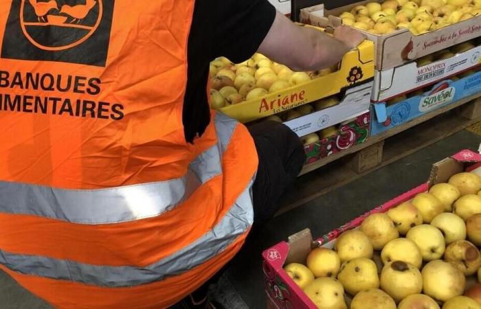 La Banque Alimentaire du Morbihan présente ce mardi le quotidien de ses bénévoles