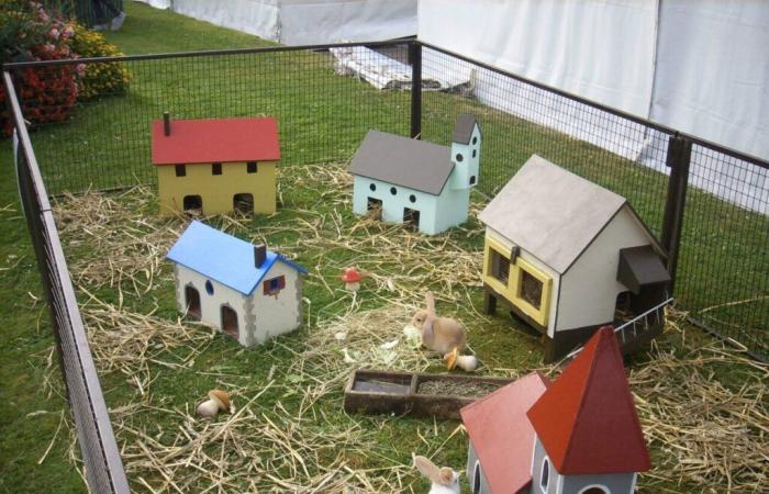 Un des premiers dans l’Orne, ce marché de Noël durera trois jours