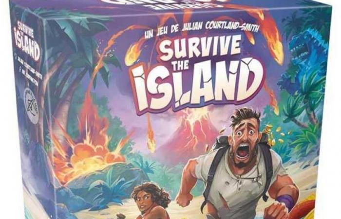 Un jeu de société à essayer : Survive The Island