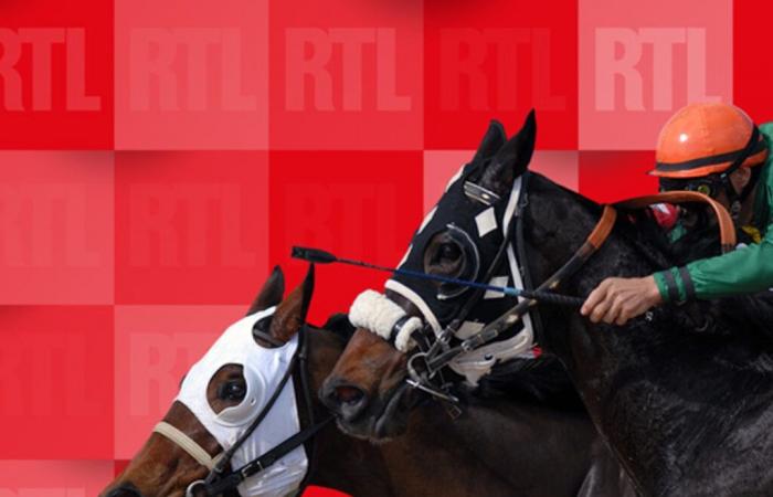 Quinté du mardi 12 novembre 2024 à Chantilly : les pronostics