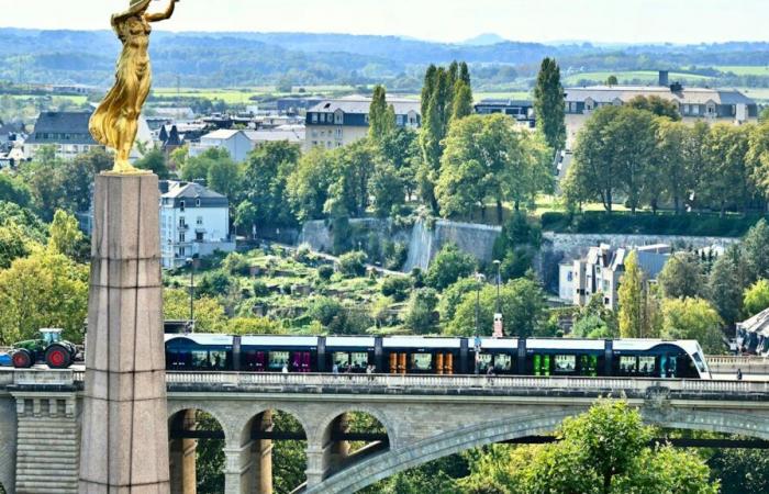 Pourquoi les travailleurs sont privés de jour férié le 11 novembre