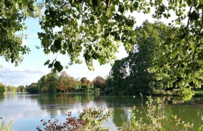 nos idées de séjours pour une explosion de couleurs dans le Val-de-Marne