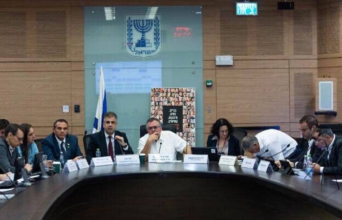 Un député du Likud expulse la tante de l’otage de la réunion de la Knesset