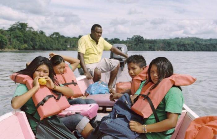 Guyane. Une sécheresse exceptionnelle perturbe la vie des habitants et des écoliers