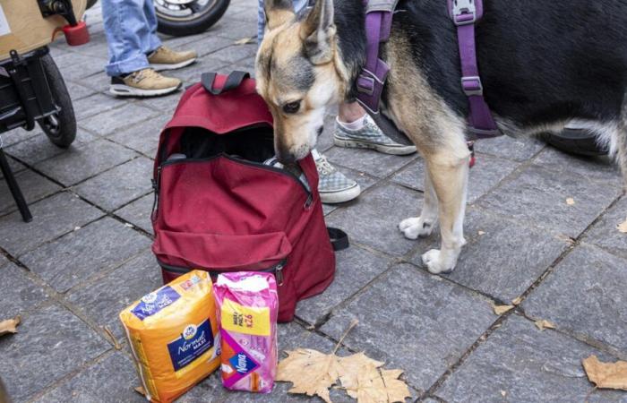 “Etre une femme dans la rue, c’est toujours plus compliqué”