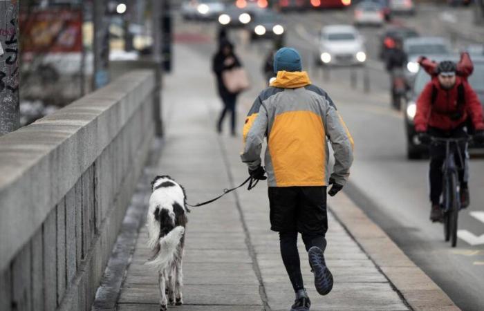 Une pilule pour remplacer le sport ? La découverte danoise qui interpelle