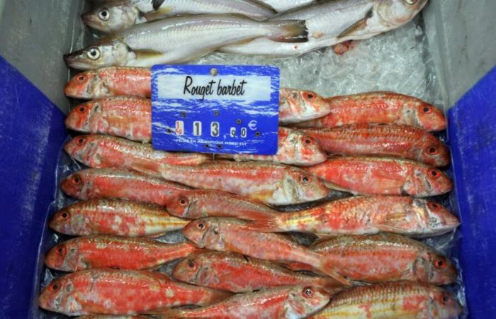 quel poisson manger pour préserver sa santé et celle des océans ?