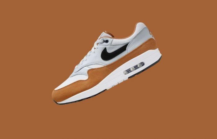 Ces Air Max 1 vont vous faire tourner la tête avec leur petit prix sur le Nike Store