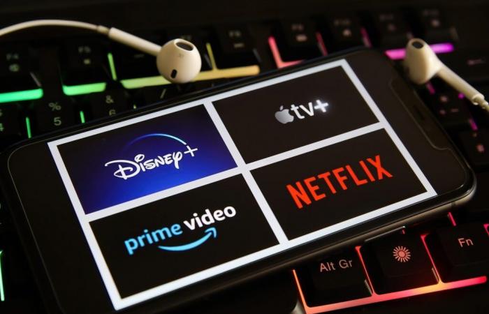 Qui sont les « pauseurs », ces utilisateurs qui nuisent à Netflix, Disney+ ou Prime Video ?