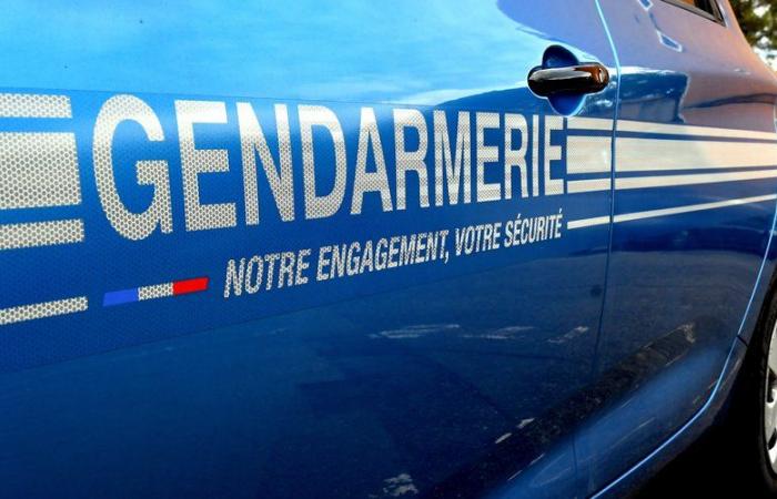 Les corps de trois enfants découverts dans une maison, l’un des parents activement recherché par les gendarmes