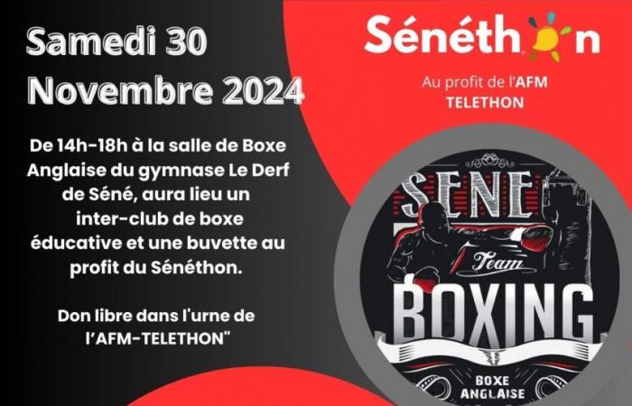 Morbihan. Découvrez le programme du Téléthon 2024