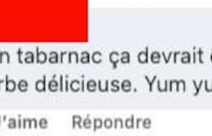 Un génie a inventé la poutine avec une soupe à l’oignon gratinée et ça excite plusieurs Québécois