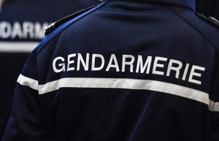 trois enfants retrouvés morts par leur père au domicile familial