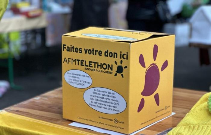 Morbihan. Découvrez le programme du Téléthon 2024