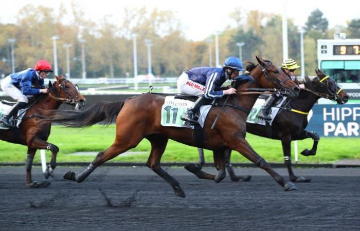 Long Island s’impose avec Mathieu Mottier ce mardi à Vincennes