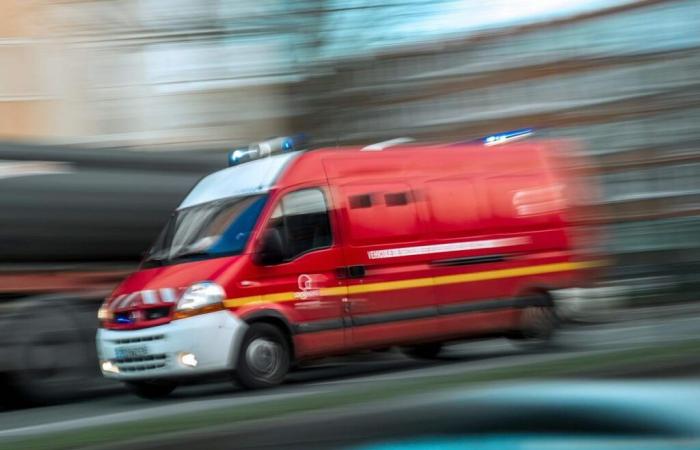 Trois enfants retrouvés morts dans une maison de Haute-Savoie, recherchés par leur mère déprimée