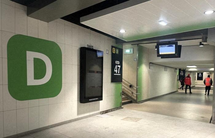 Le trafic du RER D en partie interrompu après une panne de train