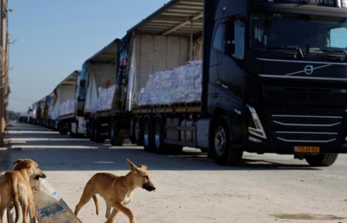 Face à l’ultimatum américain, Israël relâche (un peu) son emprise sur Gaza.