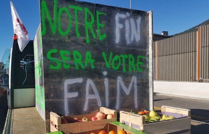 Un chercheur toulousain décrypte les accords du Mercosur et ses conséquences pour les agriculteurs