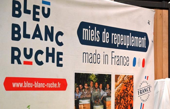 Arnaud Montebourg se réjouit de relancer le nucléaire « made in France »