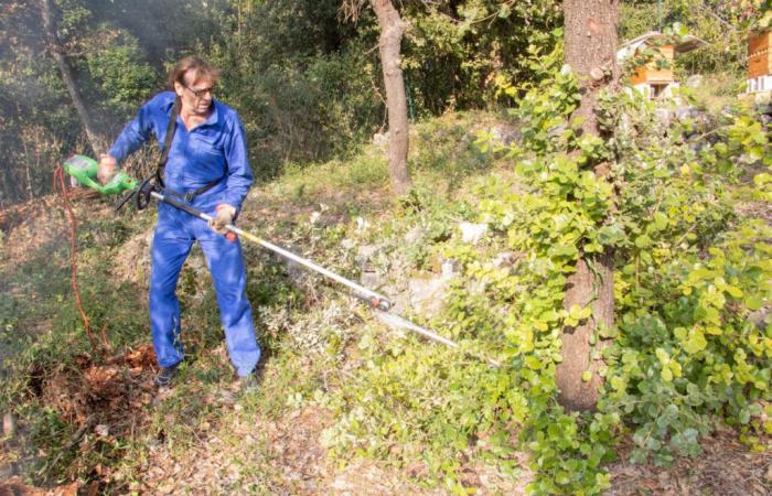 Drôme. L’obligation de débroussaillage est exigée dans 242 communes, ce que vous risquez en cas de non-respect