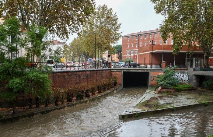 Ces dernières semaines, il a plu à Perpignan autant que pendant toute une année de sécheresse.