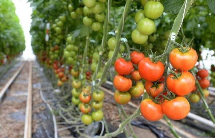 la préfecture de la Manche met un terme au projet d’extension