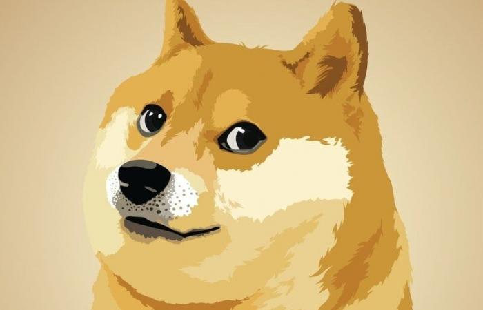 Dogecoin culmine à 43 cents sur la joie électorale continue