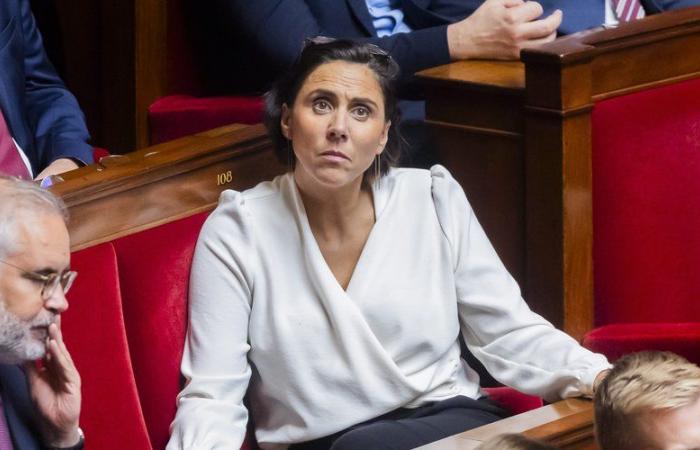 Un homme de l’OQTF s’en prend à la voiture de la députée RN Laure Lavalette et est pris en flagrant délit de vol