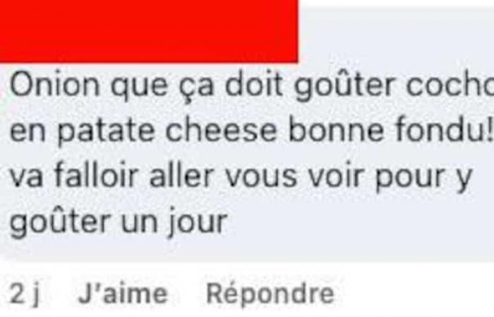 Un génie a inventé la poutine avec une soupe à l’oignon gratinée et ça excite plusieurs Québécois