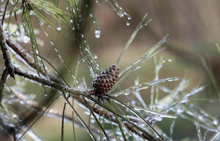 quel temps peut-on s’attendre dans la Sarthe ?