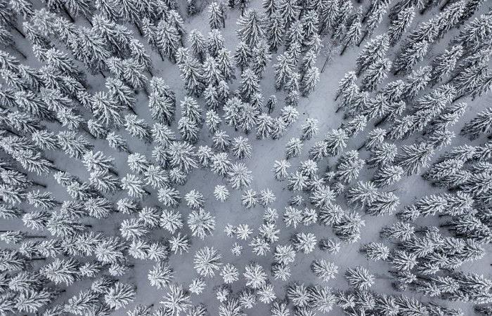 Chutes de neige sur la Lozère et pluie en plaine