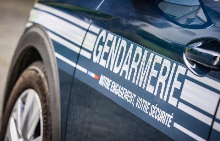 Les corps de trois enfants, âgés de 2 à 13 ans, retrouvés dans une maison en Haute-Savoie