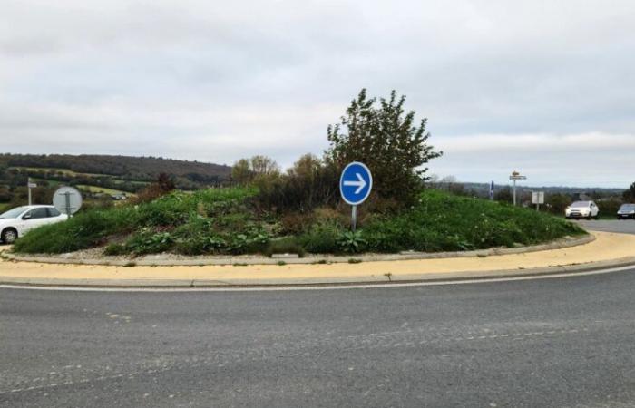 Problèmes d’entretien des espaces verts rencontrés dans cette commune du Cotentin