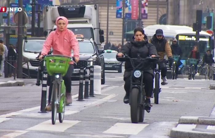 pourquoi les « fat bikes » sont les nouveaux ennemis des pistes cyclables