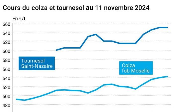 Oléagineux – La hausse des prix des huiles de palme et autres huiles végétales continue de soutenir les prix européens du colza