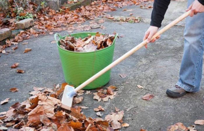 Qui s’occupe de ramasser les feuilles mortes en automne ? Nous vous répondrons