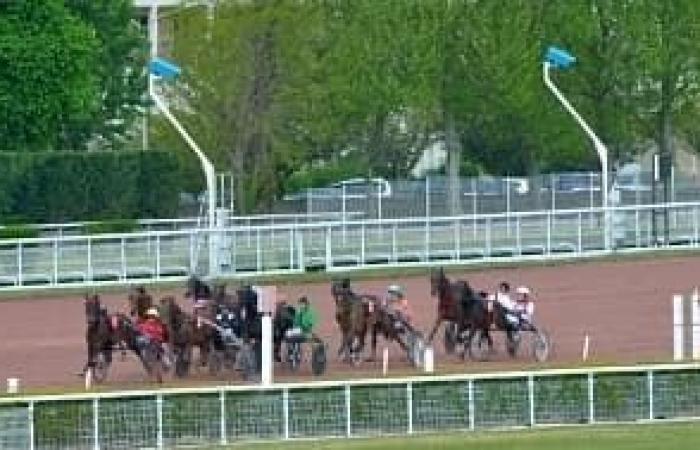 Prédictions des courses hippiques du mercredi 13 novembre 2024