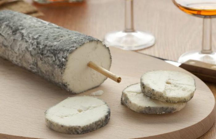 Pratique. Le fromage est-il si mauvais pour la santé ?