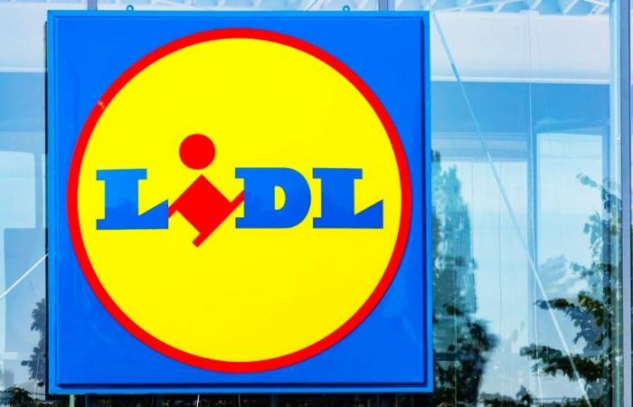 Lidl, c’est fini ? Ce nouveau magasin fera de l’ombre à la marque allemande avec ses petits prix