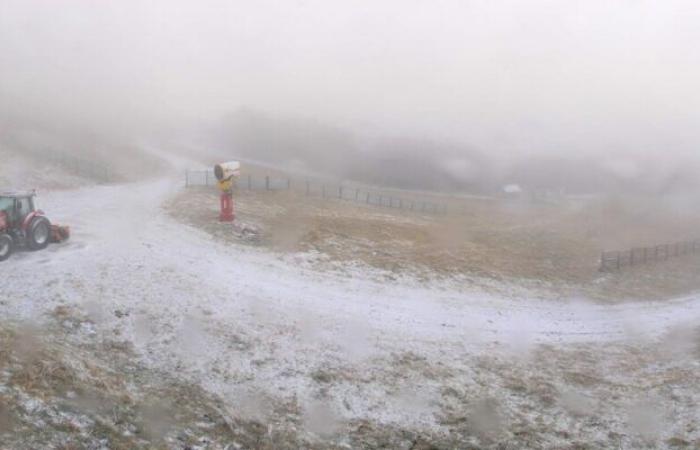 Bulletin météo. La neige est tombée sur la Loire, découvrez les premières images