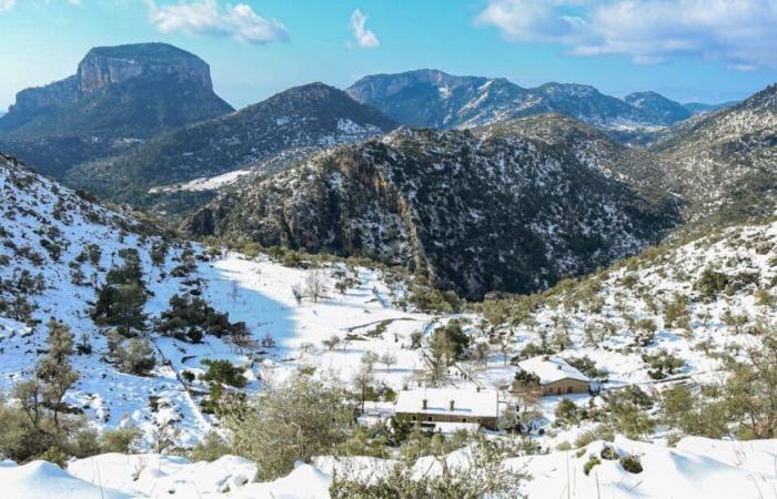 Majorque fait face à un rare avertissement de neige alors que les îles Canaries sont frappées par une vague de chaleur de 35°C en novembre | Monde