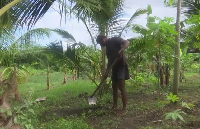 Les Sri Lankais voteront pour le changement aux élections législatives