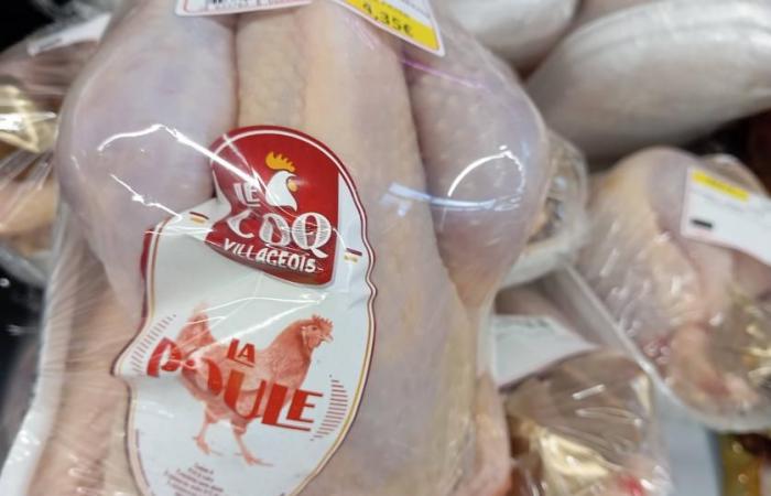 Prix ​​des poules pondeuses – Cotation réalisée le 8 novembre 2024