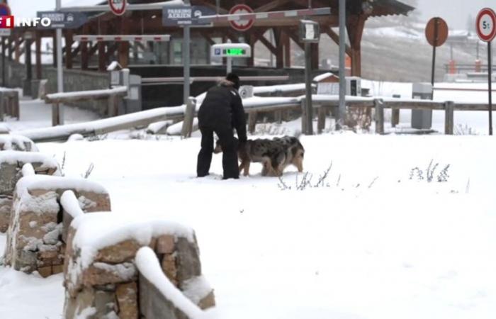 la neige est (enfin) là dans les Hautes-Alpes