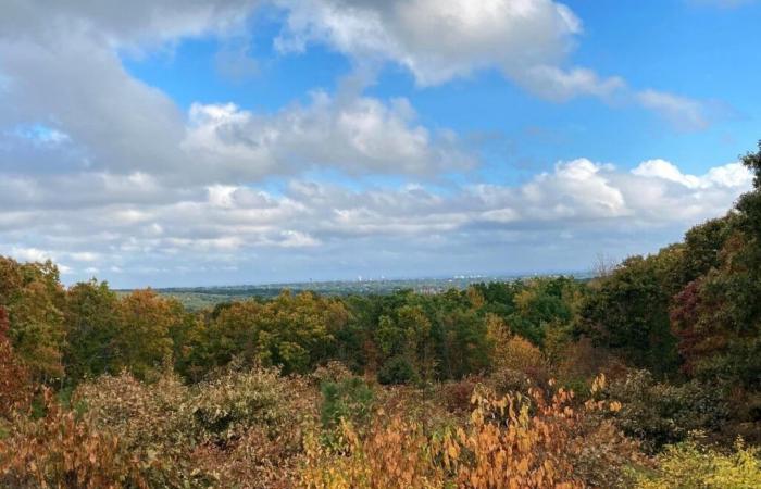 Combien de temps durera l’automne chaleureux du RI ? Voir les perspectives de novembre